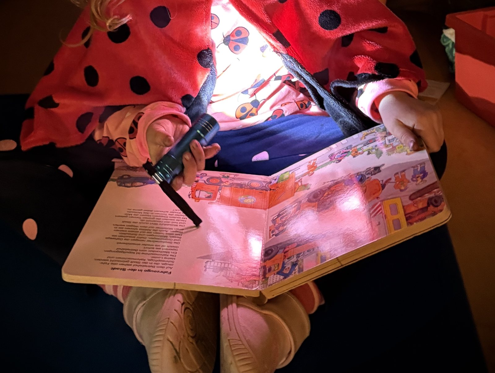 A child looking at a busy picture book with a torch