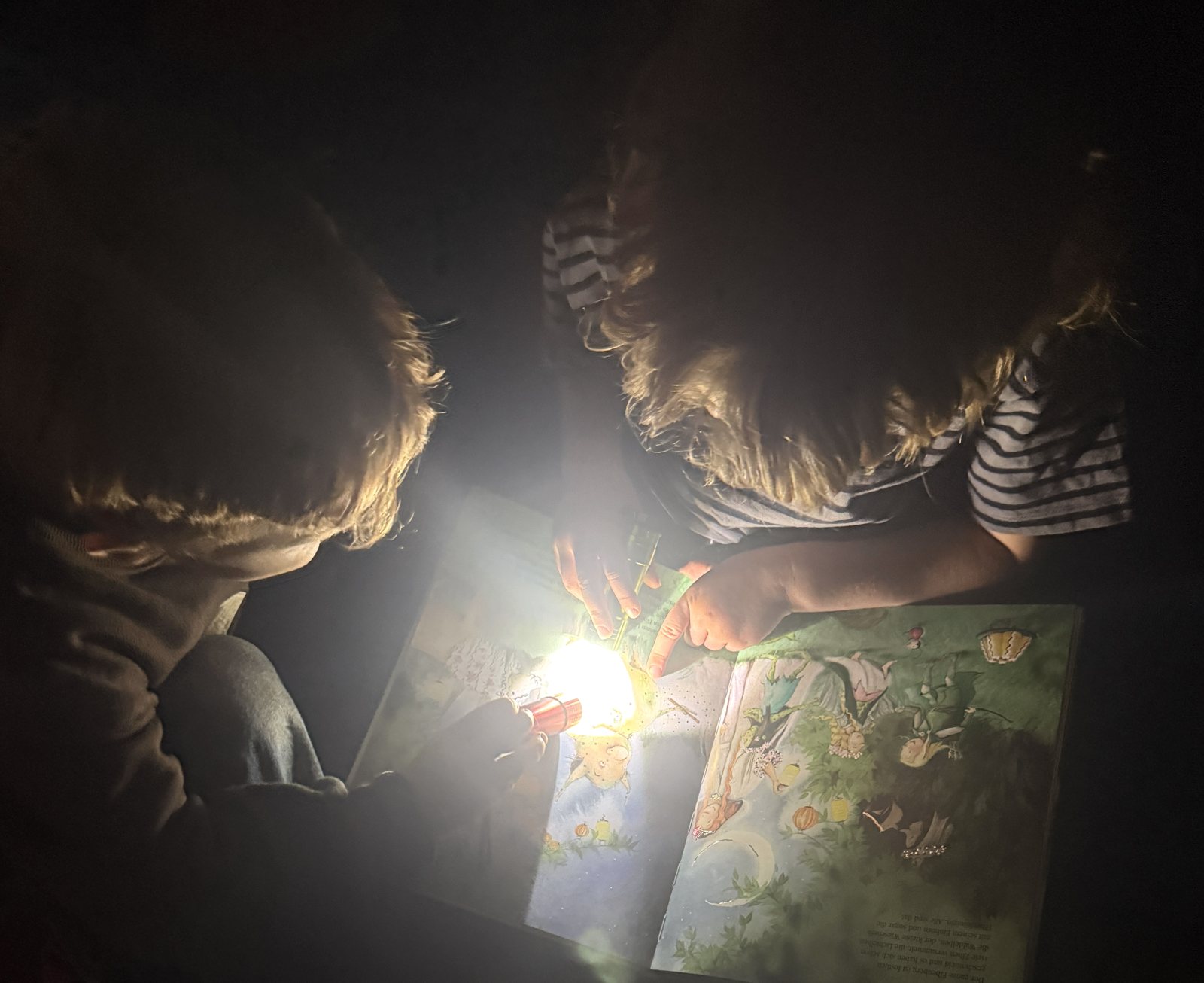 Two children exploring a picture book by torchlight
