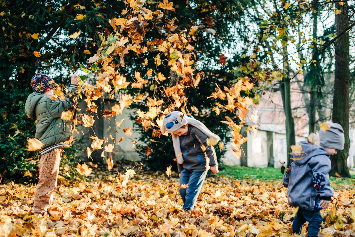 Kinder spielen draußen im Herbstlaub